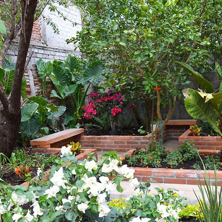 Capital O Casa Rotter Hotel San Cristobal de las Casas Ngoại thất bức ảnh